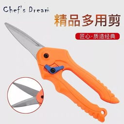 給你一條 salmon 你知道該如何處理嗎